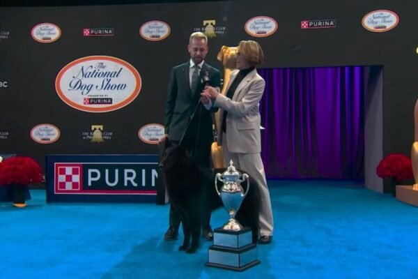 How Soleil beat 1,994 dogs at National Dog Show today