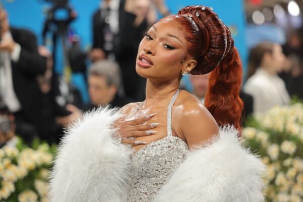 Megan Thee Stallion gives Thanksgiving meals to nearly 2,000 fami...