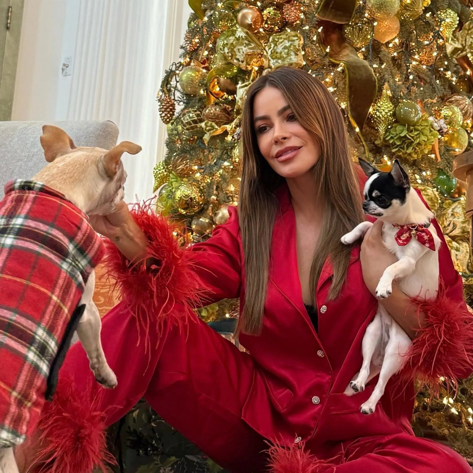 Sofía Vergara with her dogs