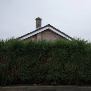 best albums 2025 the 1975