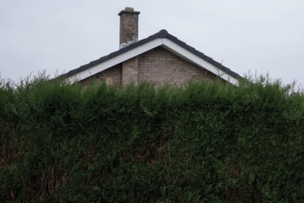 best albums 2025 the 1975